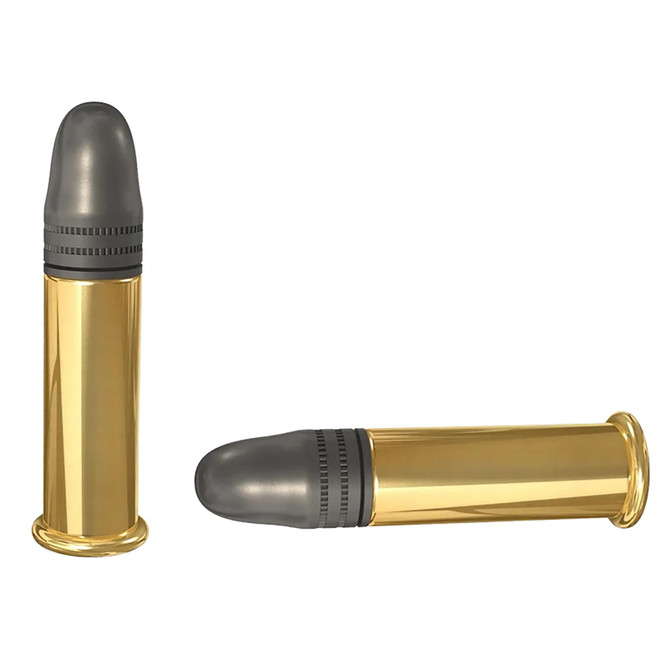 SK 420137 High Velocity 22LR 40gr High Velocity Match 50 Per Box/100 Case