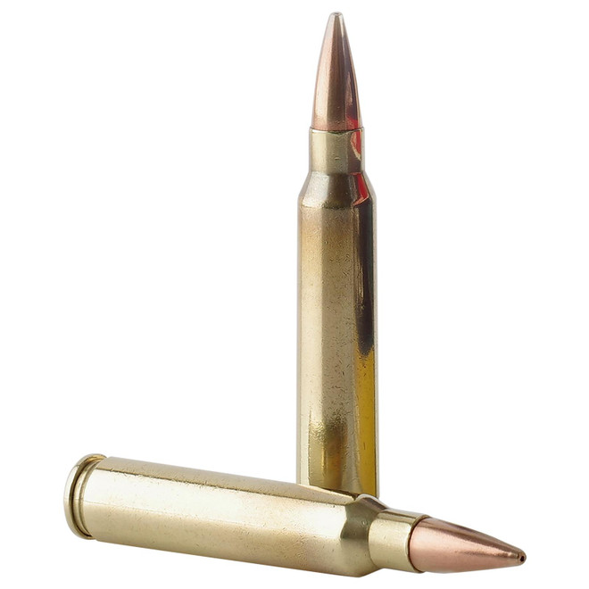 TR&Z PPMK223 Supreme Line 223 Rem 69 gr Sierra MatchKing BTHP 20 Per Box/ 10 Case