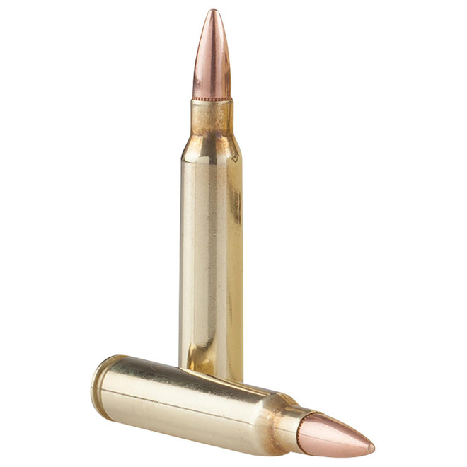 TR&Z PPRM5561P Range Master 5.56x45mm NATO 55 gr Full Metal Jacket Boat Tail 125 Per Box/ 4 Case