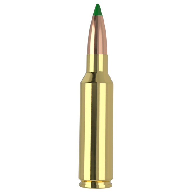 Nosler 61035 300WSM 165gr Ballistic Tip 20 Per Box/10 Case
