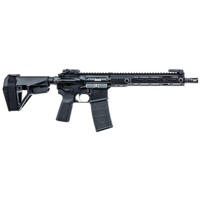 Watchtower Firearms RDR55611BLK Raider 5.56 NATO 30+1 B5 Grip Black