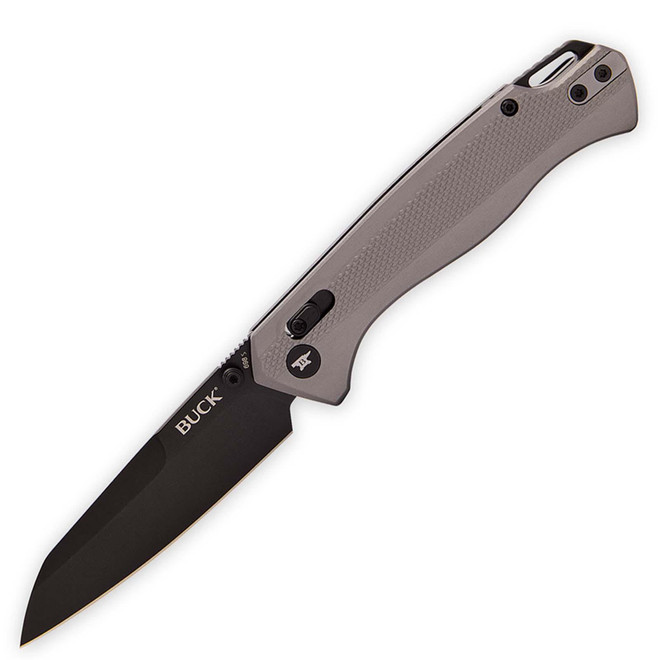 Buck 698 Ferrox Folding Knife 3.375 in D2 Reverse Tanto Silver
