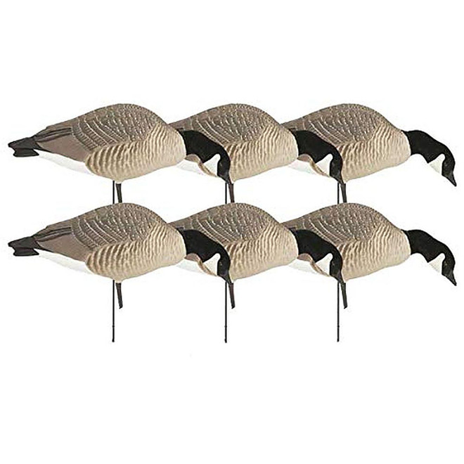 GHG 71596 HUNTER SERIES CANADIAN FEEDER 6 PACK