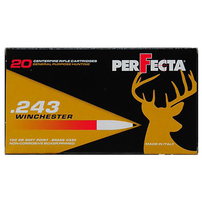 Perfecta 243 WIN 100 gr Soft Point 20/Box