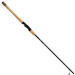 Fenwick Salmon & Steelhead Rod 9'6" Medium 2 Pc Moderate Fast