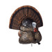 Flextone Thunder Creeper Turkey Decoy