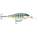 Rapala Shad Rap Elite 75 3" Gilded Blue Gill