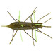 Geecrack Imo Kemushi Stick Worm 2.36" 4 Pack Kagerou
