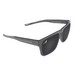 Alexander Premium Sport Polarized Sunglasses Clear Gray