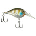Berkley Dime Ghost Gill 2 in.