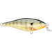 Rapala Shallow Shad Rap