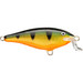 Rapala Shallow Shad Rap Perch 2 in.