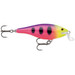 Rapala Shallow Shad Rap Fruit Punch 2 in.