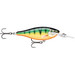Rapala Shad Rap Elite Gilded Perch 2 1/4 in.