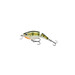 Rapala Jointed Shallow Shad Rap Yellow Perch 2 in.
