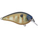 Strike King Hard Knock KVD Square Bill Crankbait Bluegill 3 in.