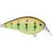Strike King Hard Knock KVD Square Bill Crankbait Chartreuse Perch 3 in.