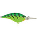Berkley Frittside Crankbait Firetiger 2 1/4 in.