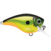 Rapala Brat Squarebill Homers Buddy 3