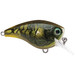 Rapala Brat Squarebill Mossy 3