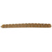 Zoom Centipede Green Pumpkin 4 in.