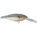 Rapala Shad Rap Shad 8