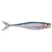Berkley Powerbait Champ Minnow HD Emerald Shiner