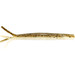 Z-Man Hula Stickz Mud Minnow 4 in.