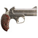 Bond Arms PT2A Protect the 2nd Amendment Derringer Single 45 Colt (LC)/410 Gauge 4.25" 2 Round Stainless Steel