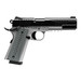 SAV 67207 1911 GOVT 45 5IN BLK/SS BLK MELONITE 2T