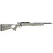 Savage Arms 70818 B Series TimberLite 17 HMR 10+1 18" Black Threaded Carbon Fiber/SS Barrel, Black Picatinny Rail Steel Receiver, Gray w/Black Webbing Synthetic Fixed Thumbhole Stock