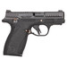 S&W BODYGRD 2.0 380ACP 14660 TS RGPVD