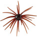 Hag's Baits Prickly Pear - 19mm Red Dirt Renegade