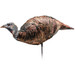 Montana Decoy Miss Purr-Fect XD Hen Decoy