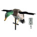 Lucky Duck XHDi Spinning-Wing Mallard Decoy with Remote