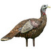 Avian-X LCD Lookout Hen Turkey Decoy 8006