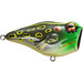 Rebel Poppin Frog Bullfrog