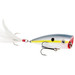 HC KVD Splash Sexy Shad Standard