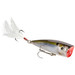 HC KVD Splash Natural Shad Standard