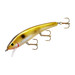Cotton Cordell Ripplin Red Fin Black Ayu Tackle