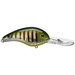 Strike King 5XD Crank Phantom Perch