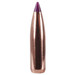 Nosler 6mm Caliber (.243" Diameter) 90 Grain Spitzer Purple Ballistic Tip Hunting Bullet 50 Count, 24090