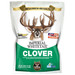 Whitetail Institute Imperial Clover Perennial Food Plot Seed 4 lb