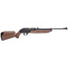 Crosman 760 Pumpmaster .177 Caliber BB/Pellet Air Rifle, Brown
