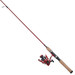 Berkley Cherrywood HD Spinning Combo