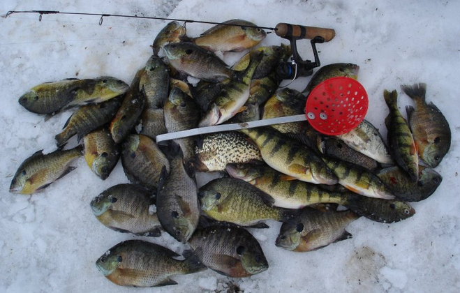 BEGINNERS GUIDE TO ICE FISHING FOR PANFISH