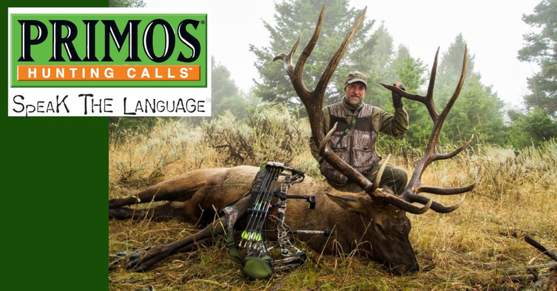 From Flipping Hamburgers to Countries Biggest Game Call Company