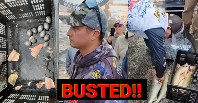 Cheaters BUSTED at Lake Erie Walleye Tournament