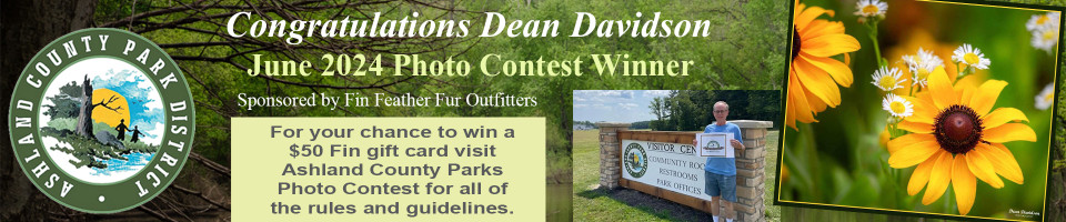 Fin Feather Fur Outfitters