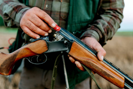 20 gauge ammo, 20 gauge ammo uses, 20 gauge ammo for sale, 20 gauge shotgun shells